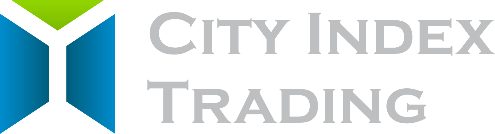 City Index Logo Gray